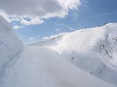 Salita da Foppolo al Lqgo Moro in letargo sotto la neve il 17 marzo 09 - FOTOGALLERY